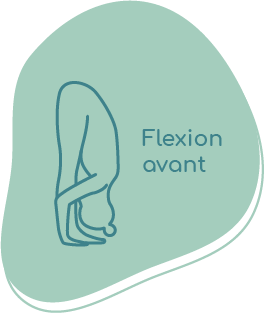 hatha yoga flexion avant